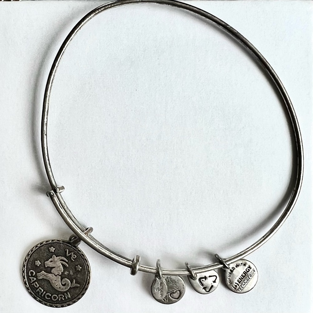 Alex and Ani Capricorn Zodiac Charm Bangle